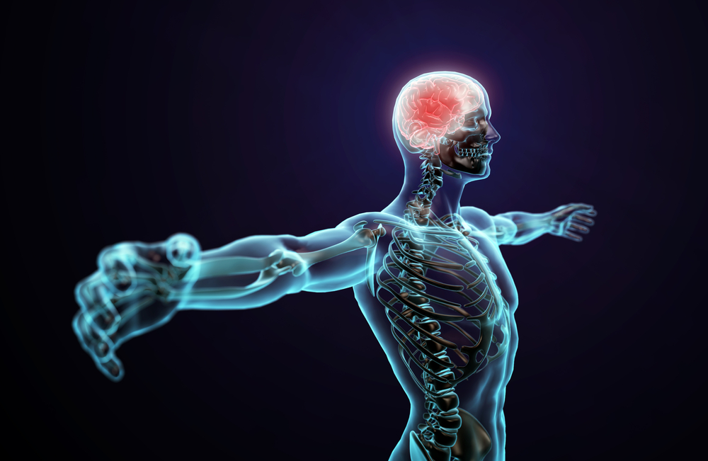 central-nervous-system